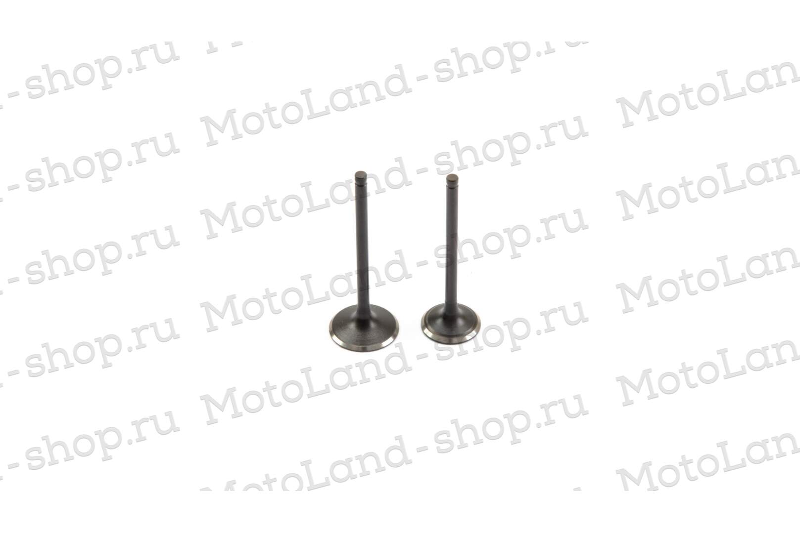 Клапаны ГРМ 172FMM-3A (CB250-F) 175FMM (CB300-F) (компл 2шт) X-TECH