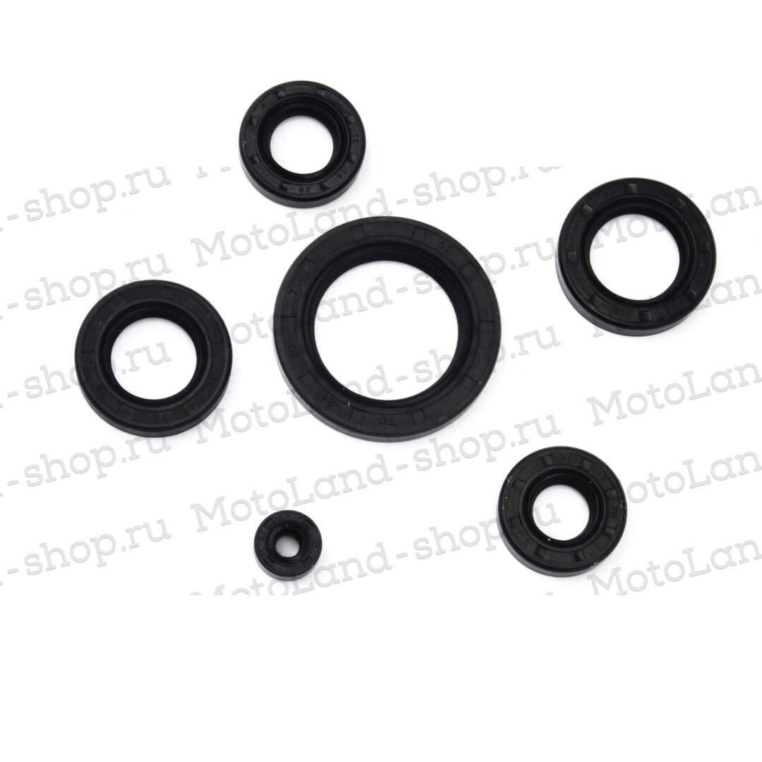 Набор сальников полный 165FMM (CBB250) X-TECH