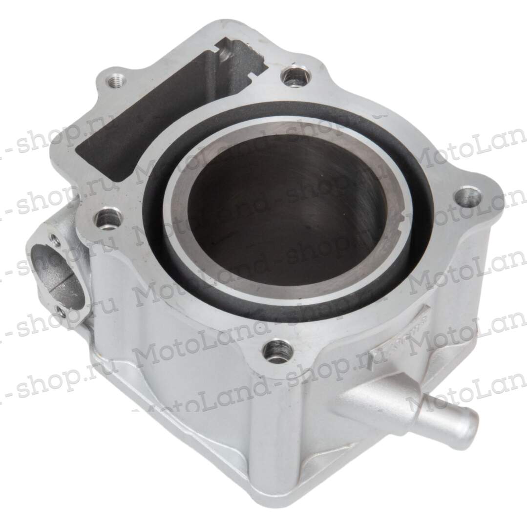 Цилиндро поршневая группа ( ЦПГ ) 169MM (CB250-A) water, 2V ZS