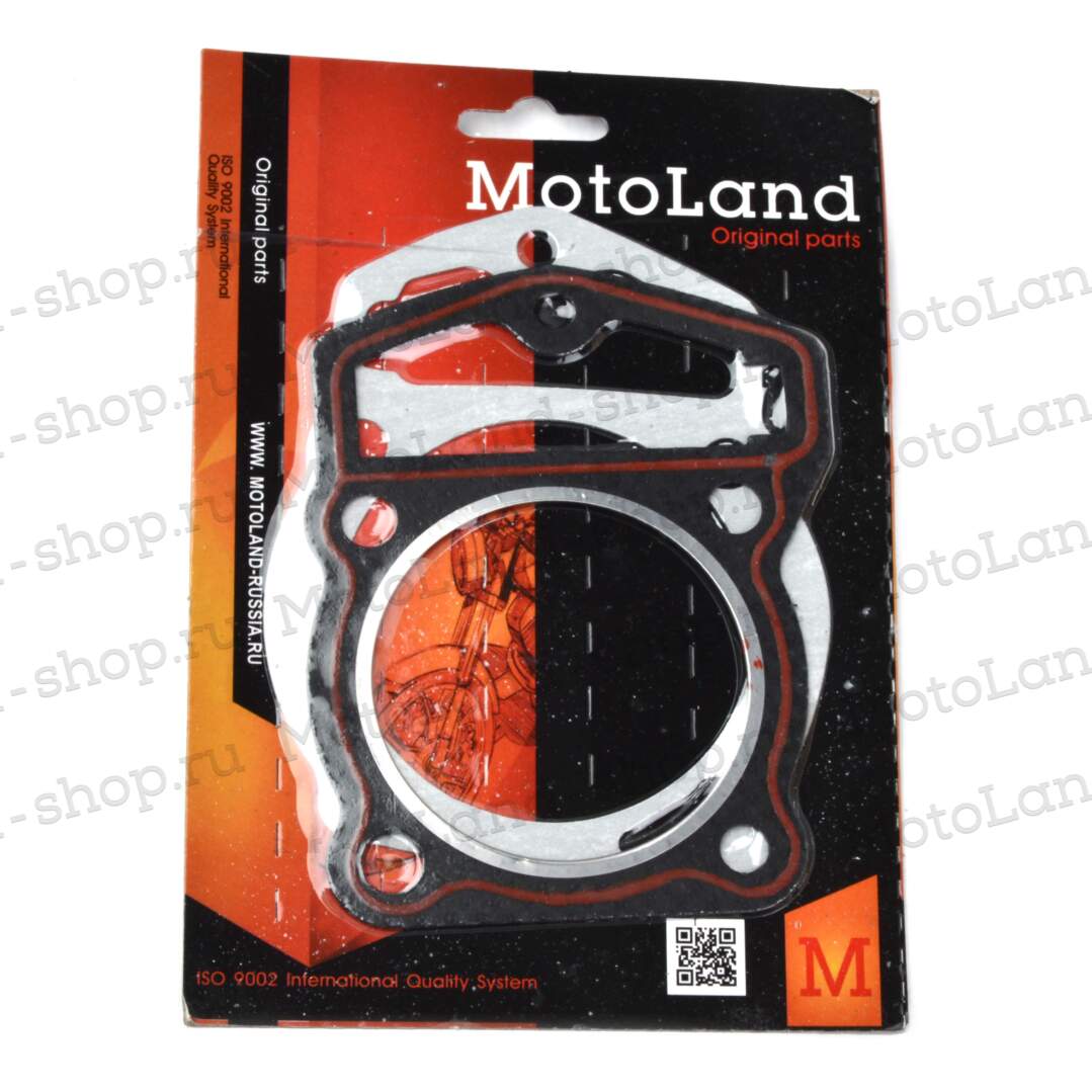 Набор прокладок цилиндро поршневой группы ( ЦПГ ) 169FMM (CB250)_