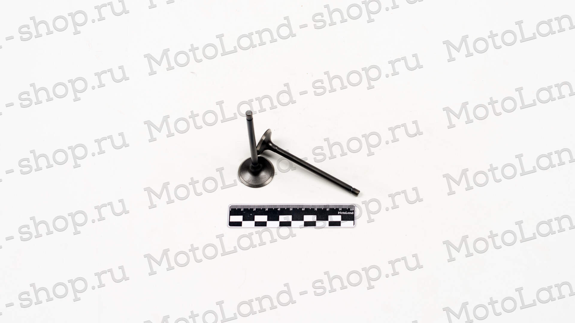 Клапаны ГРМ 163FML-2(CB200-C)165FML(CBB200)165FMM(CB250D-G)165FMM(CBB250) (компл=2шт) Клапаны ГРМ 163FML-2(CB200-C)165FML(CBB200)165FMM(CB250D-G)165FMM(CBB250) (компл=2шт)