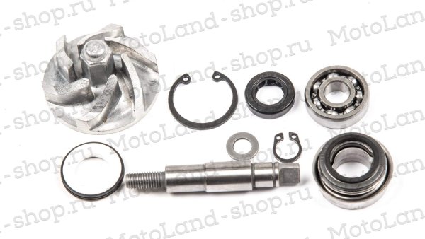 Помпа в сборе 169MM (CB250-A) water, 2V  ZS