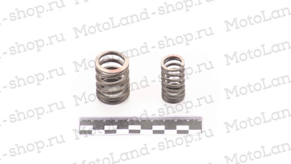 Пружины клапанов194MQ (NC450) (компл.=4шт) ZS