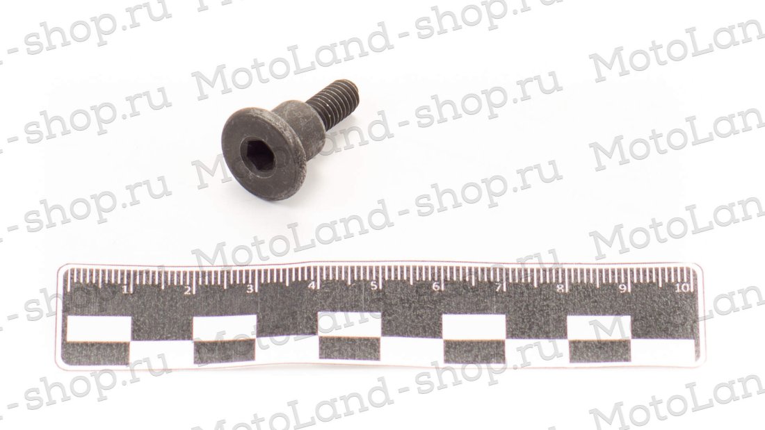 Болт натяжителя цепи ГРМ  W190 190см3 ZS