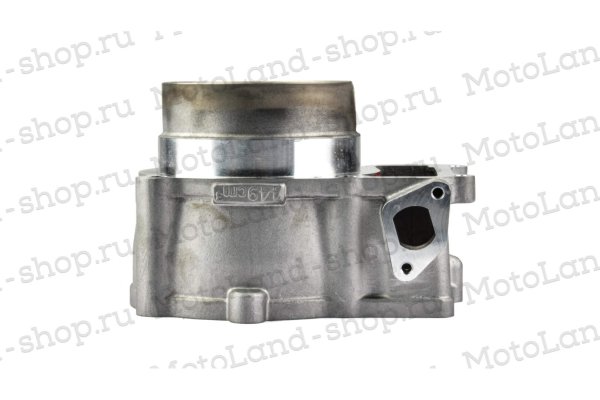 ЦПГ (поршневая) 194MQ (NC450) (131/131,8/70.7/20) ZS